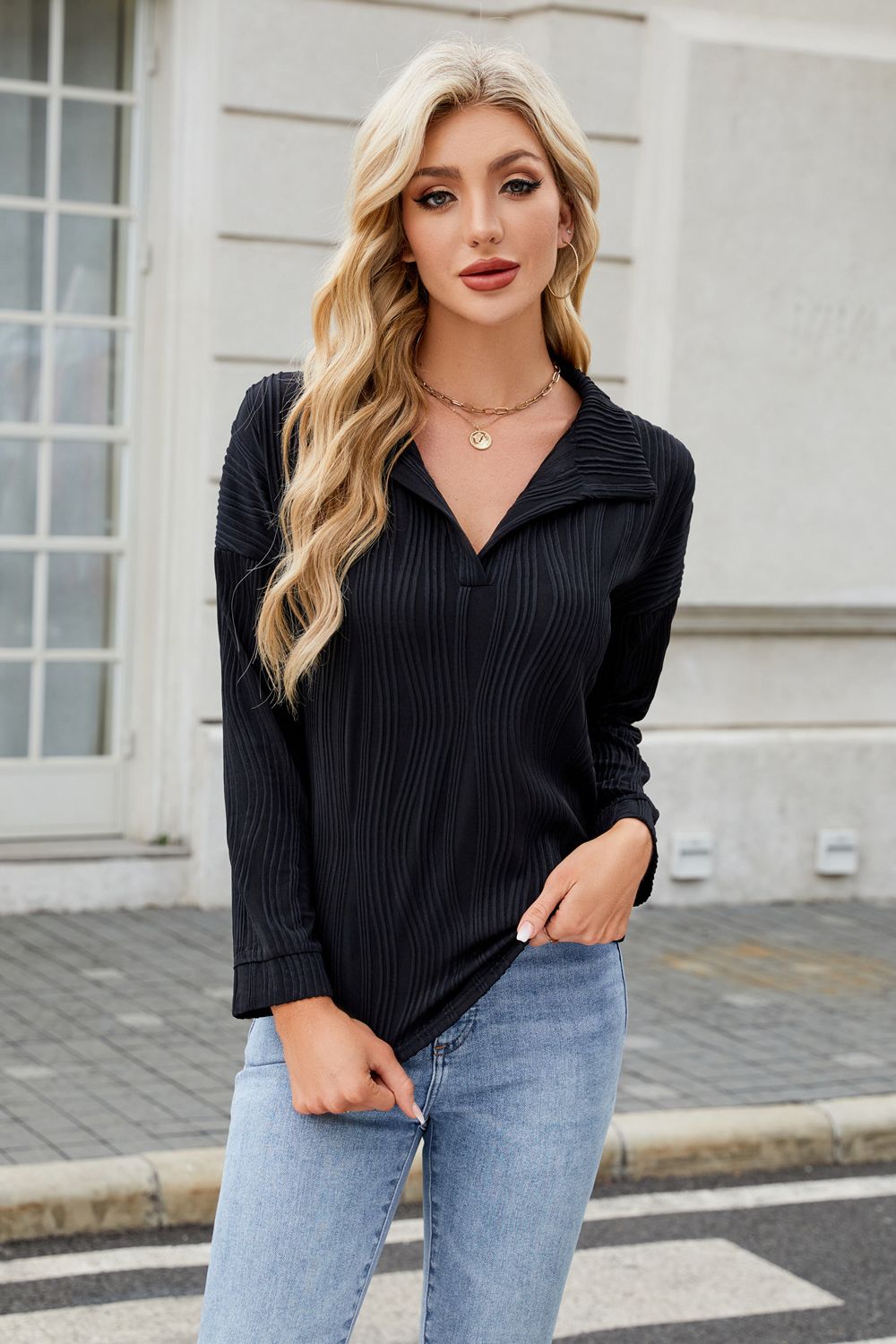 Texture Collared Neck Long Sleeve Blouse