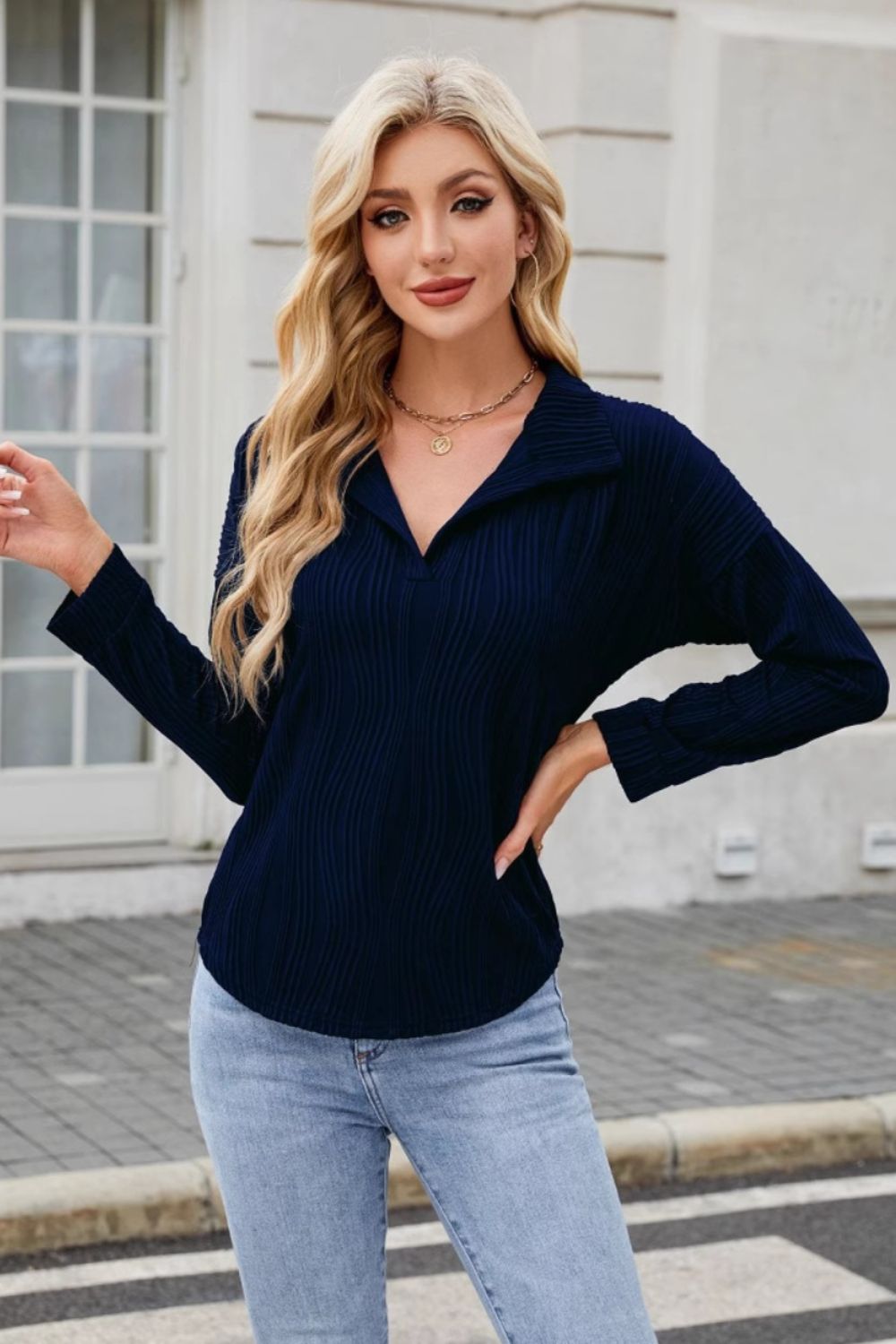 Texture Collared Neck Long Sleeve Blouse